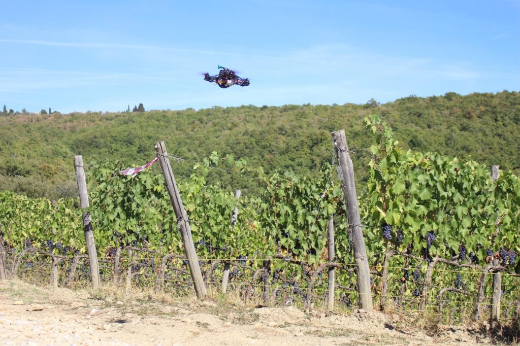 Helyx in volo sul vigneto per DIGIVIT